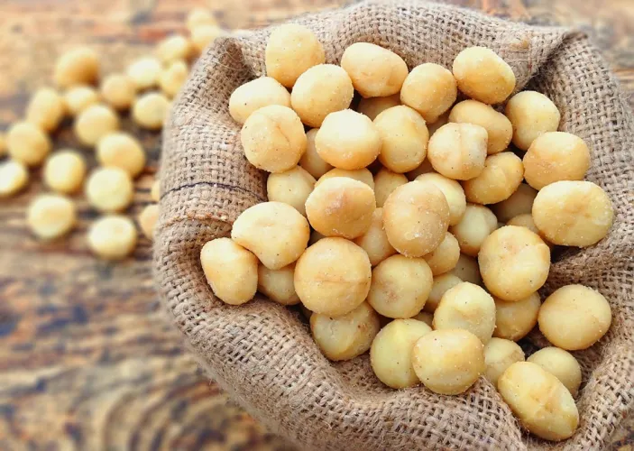 Macadamia Nut